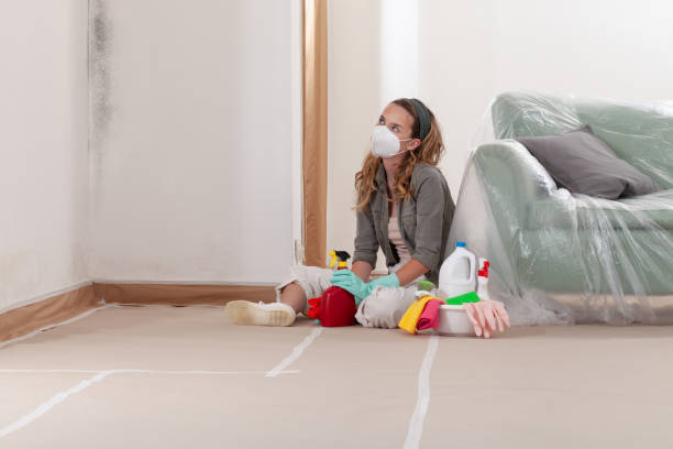 Reliable Mold Remediation contractor in Jefferson, OR by WQB Mold Removal